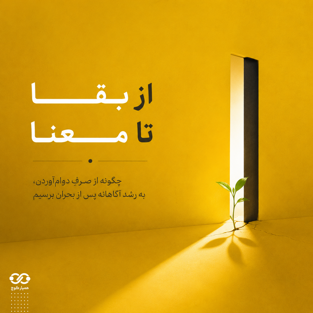 دوره جامع از بقا تا معنا